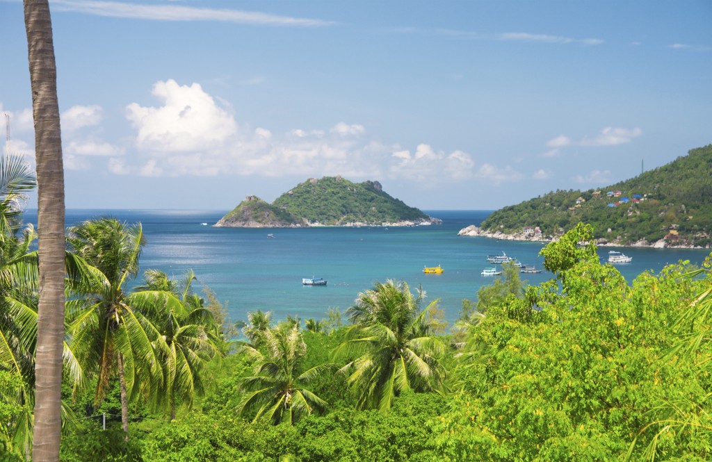 sea and jungle. beautiful ko tao island. Thailand