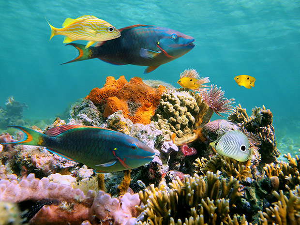 Roatán, Honduras