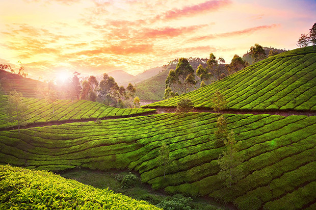 Kerala, India