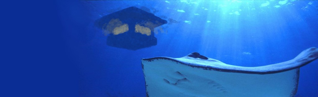 Manta Resort onderwater kamer
