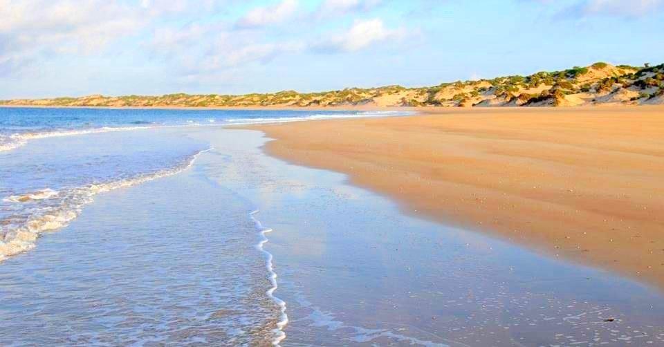 Lamu shela beach