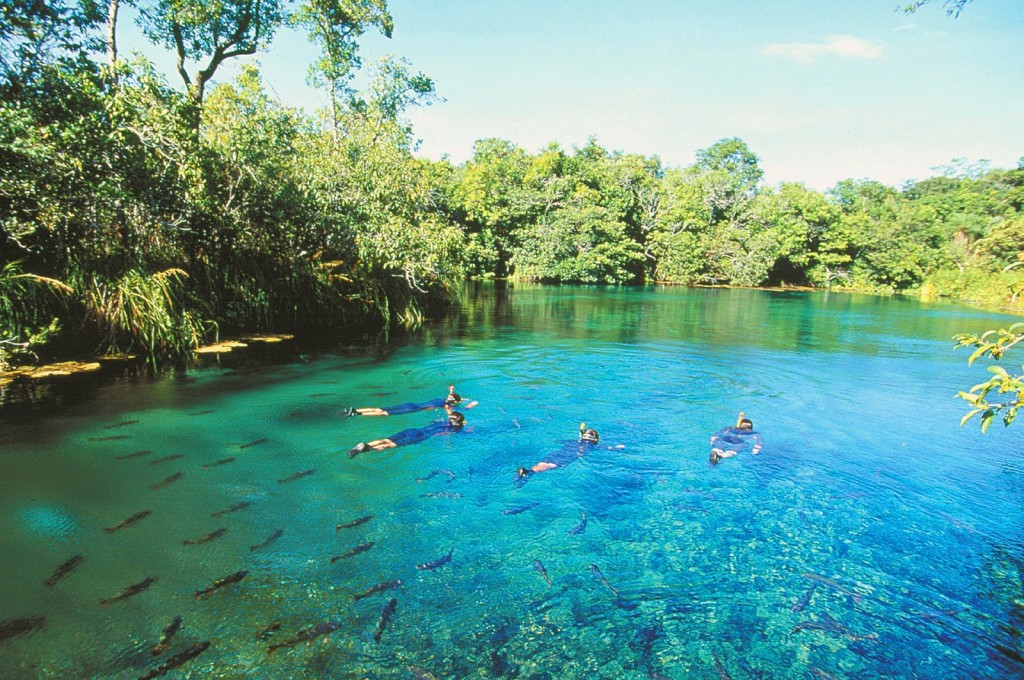 Rio-da-Prata-Bonito-Brazilie