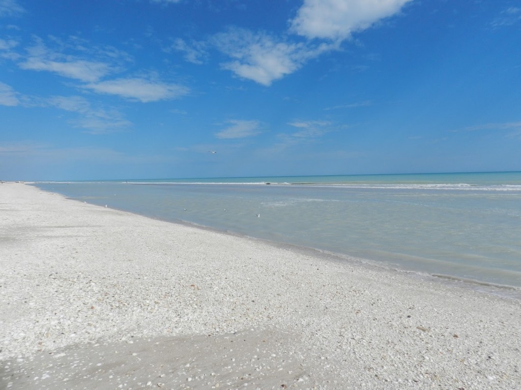 Eighty mile beach Australië