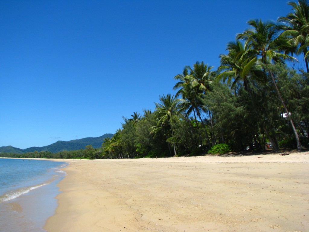 Palm Cove beach Australië