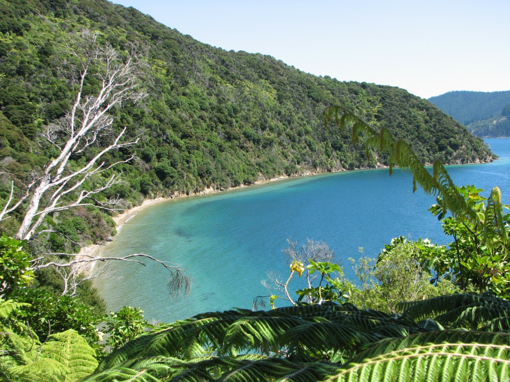 3. Mosquito Bay (zuidereiland)