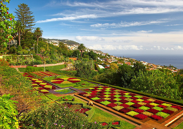 Funchal botanische tuin