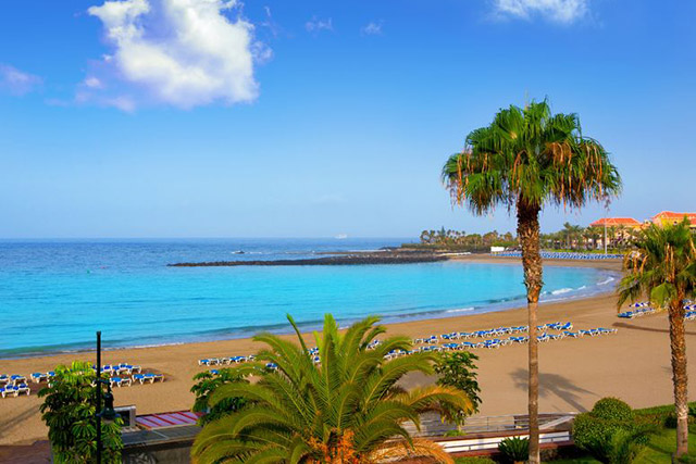jurar Manhattan espiritual De mooiste & leukste stranden van Tenerife